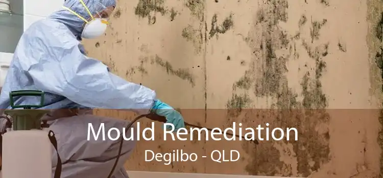 Mould Remediation Degilbo - QLD