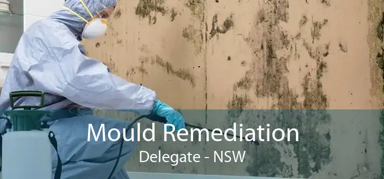 Mould Remediation Delegate - NSW