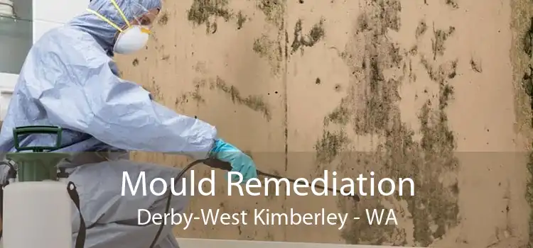 Mould Remediation Derby-West Kimberley - WA