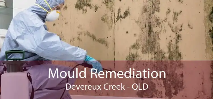 Mould Remediation Devereux Creek - QLD