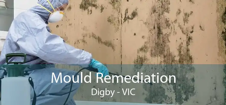 Mould Remediation Digby - VIC