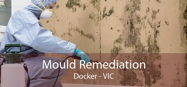 Mould Remediation Docker - VIC