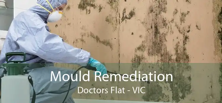 Mould Remediation Doctors Flat - VIC