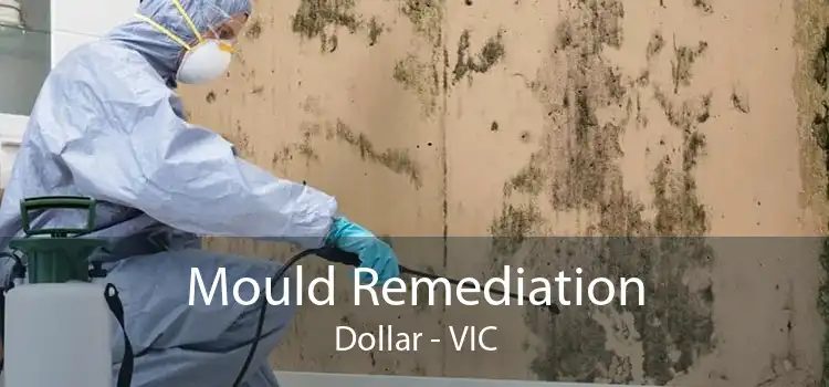 Mould Remediation Dollar - VIC