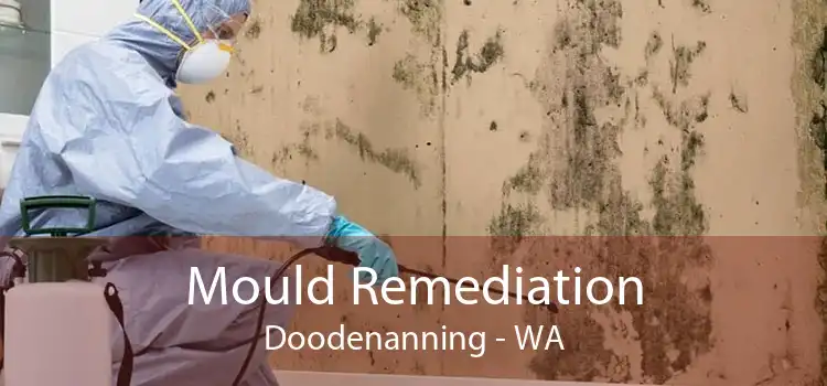 Mould Remediation Doodenanning - WA