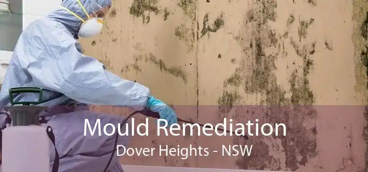 Mould Remediation Dover Heights - NSW