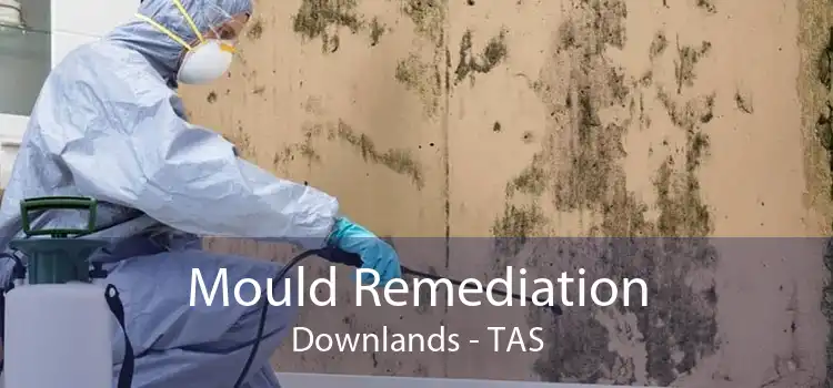 Mould Remediation Downlands - TAS