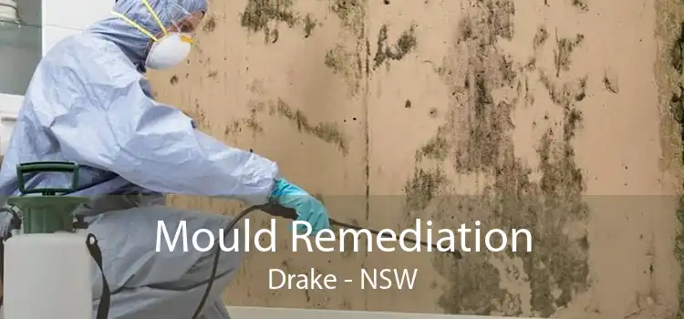 Mould Remediation Drake - NSW