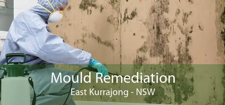 Mould Remediation East Kurrajong - NSW