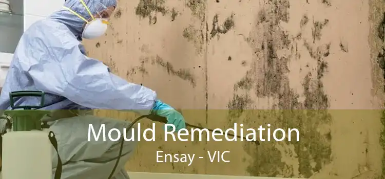 Mould Remediation Ensay - VIC