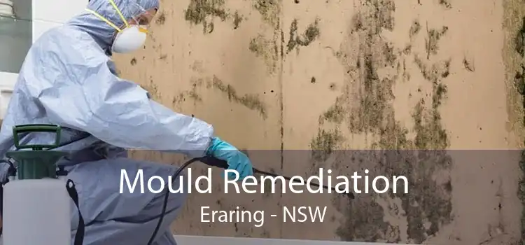 Mould Remediation Eraring - NSW