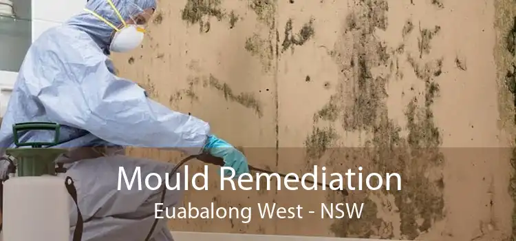 Mould Remediation Euabalong West - NSW