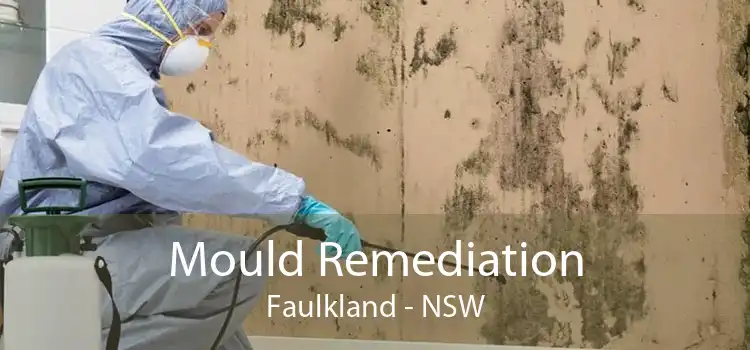 Mould Remediation Faulkland - NSW