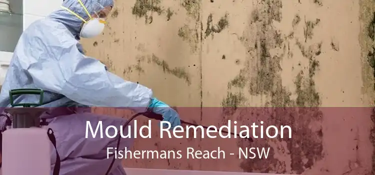 Mould Remediation Fishermans Reach - NSW