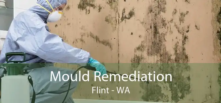 Mould Remediation Flint - WA