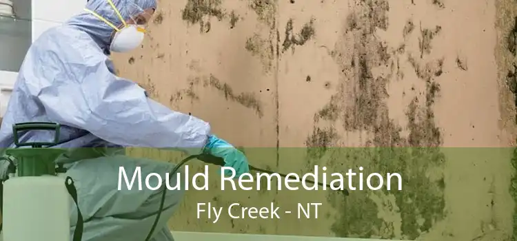 Mould Remediation Fly Creek - NT