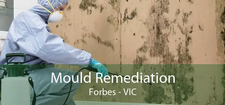 Mould Remediation Forbes - VIC