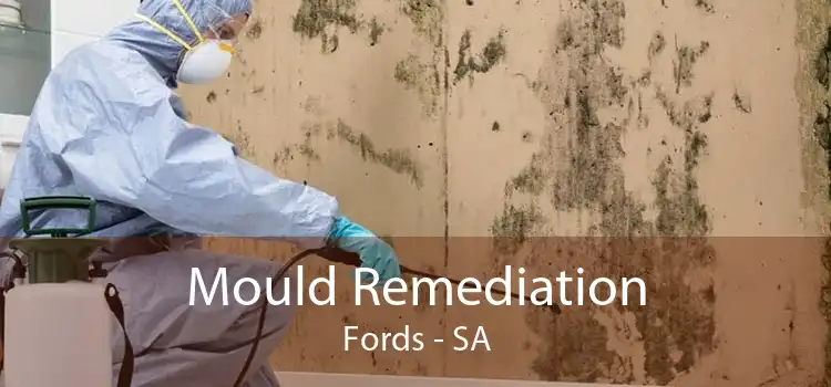 Mould Remediation Fords - SA