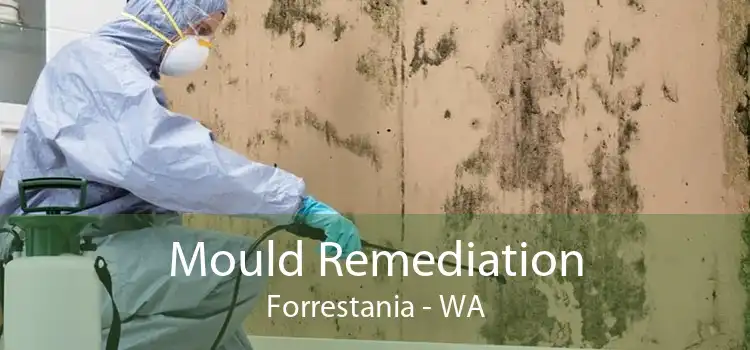 Mould Remediation Forrestania - WA