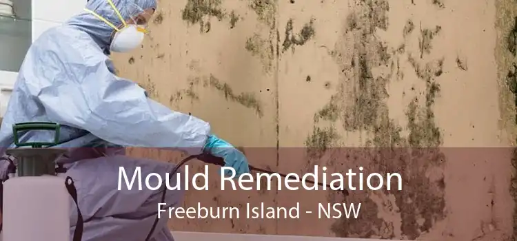 Mould Remediation Freeburn Island - NSW