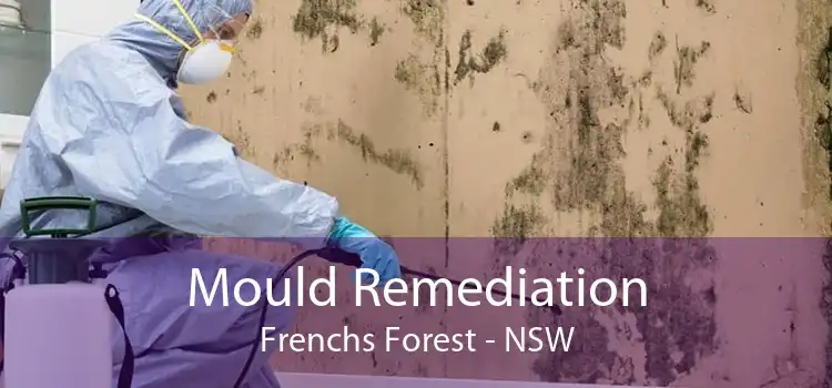 Mould Remediation Frenchs Forest - NSW