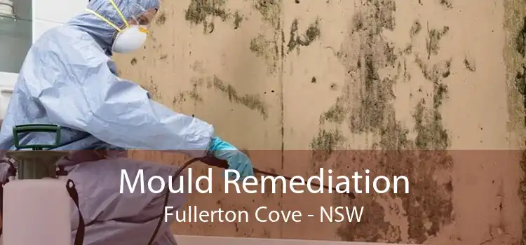 Mould Remediation Fullerton Cove - NSW