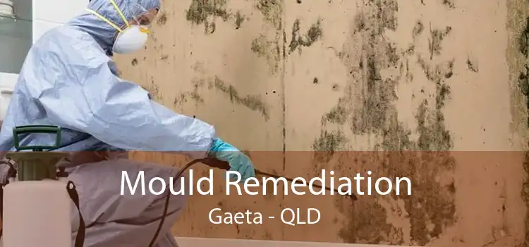 Mould Remediation Gaeta - QLD