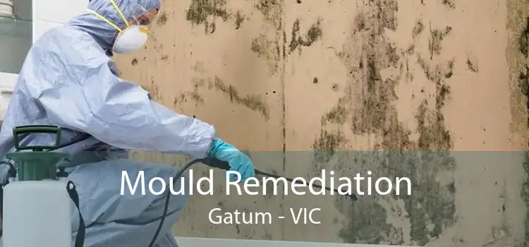 Mould Remediation Gatum - VIC