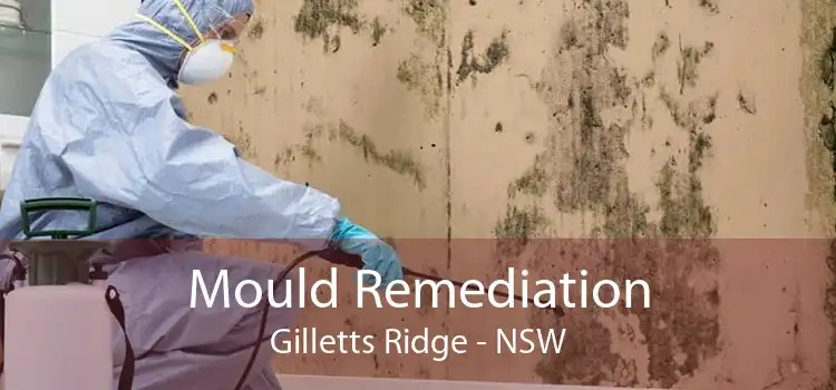 Mould Remediation Gilletts Ridge - NSW