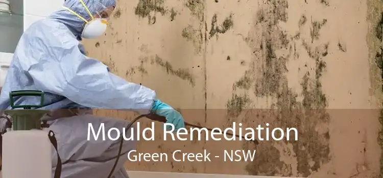 Mould Remediation Green Creek - NSW