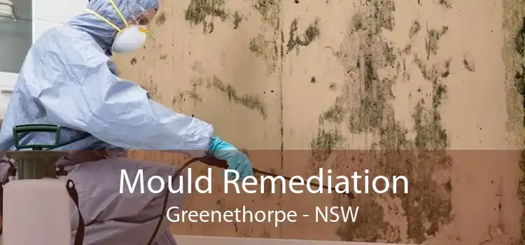 Mould Remediation Greenethorpe - NSW