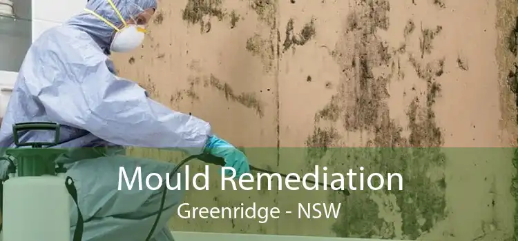 Mould Remediation Greenridge - NSW