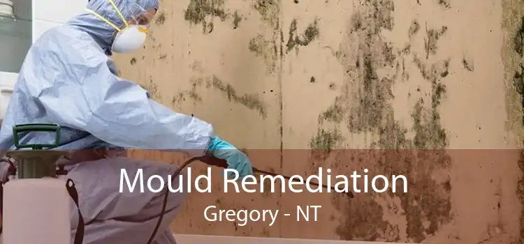 Mould Remediation Gregory - NT