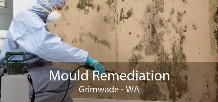 Mould Remediation Grimwade - WA