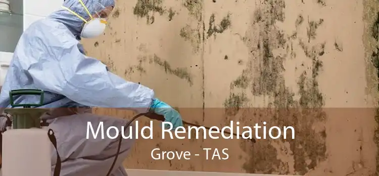 Mould Remediation Grove - TAS