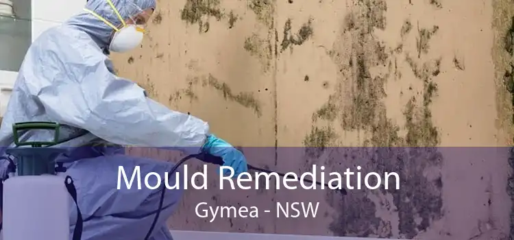 Mould Remediation Gymea - NSW