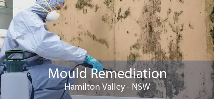 Mould Remediation Hamilton Valley - NSW