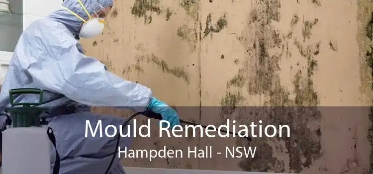 Mould Remediation Hampden Hall - NSW