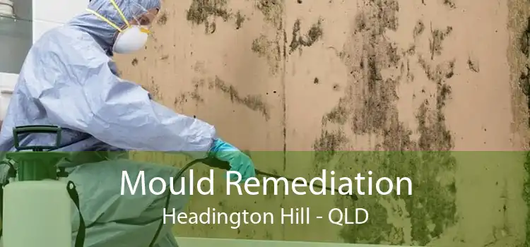 Mould Remediation Headington Hill - QLD