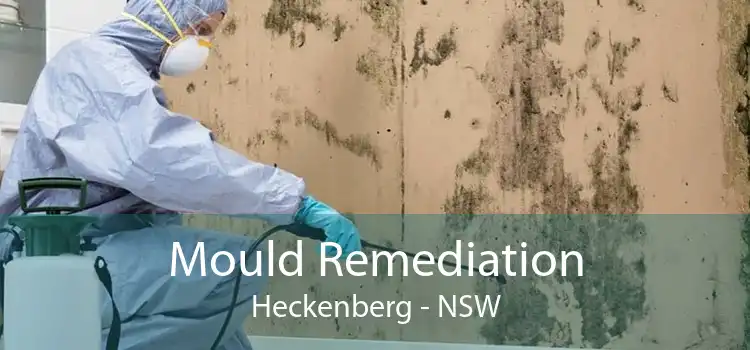 Mould Remediation Heckenberg - NSW