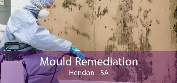 Mould Remediation Hendon - SA