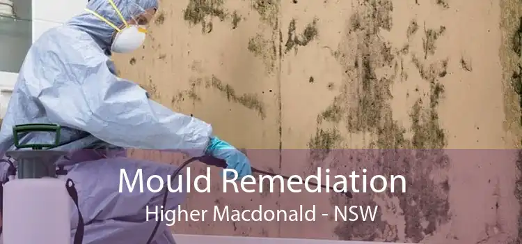 Mould Remediation Higher Macdonald - NSW