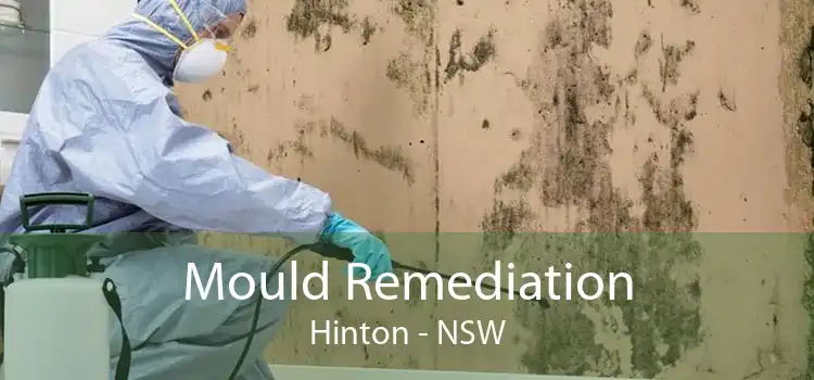 Mould Remediation Hinton - NSW