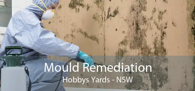 Mould Remediation Hobbys Yards - NSW