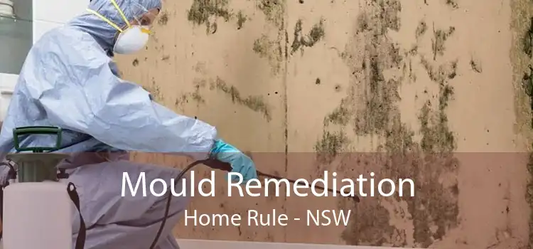 Mould Remediation Home Rule - NSW