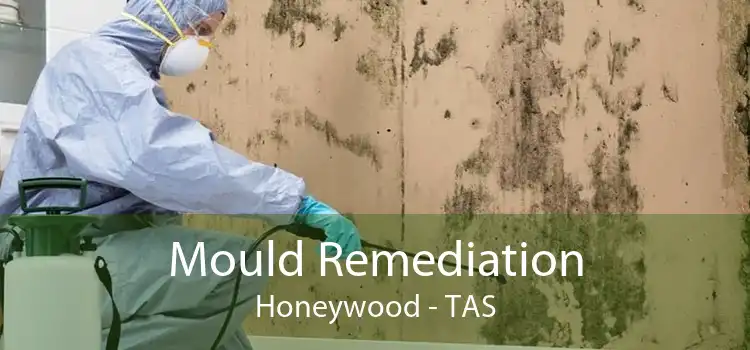 Mould Remediation Honeywood - TAS