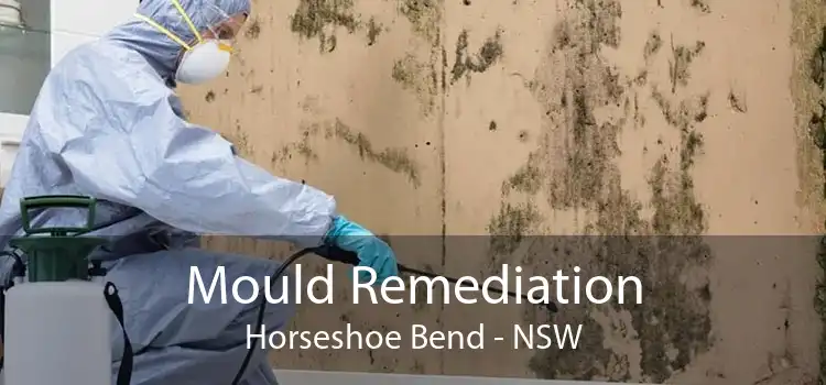 Mould Remediation Horseshoe Bend - NSW