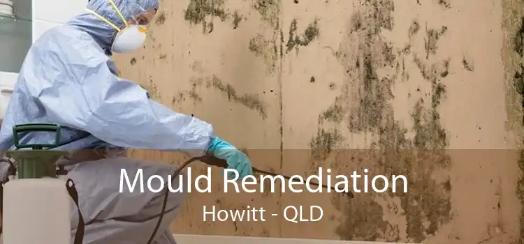 Mould Remediation Howitt - QLD
