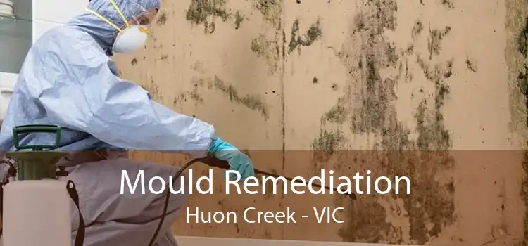 Mould Remediation Huon Creek - VIC