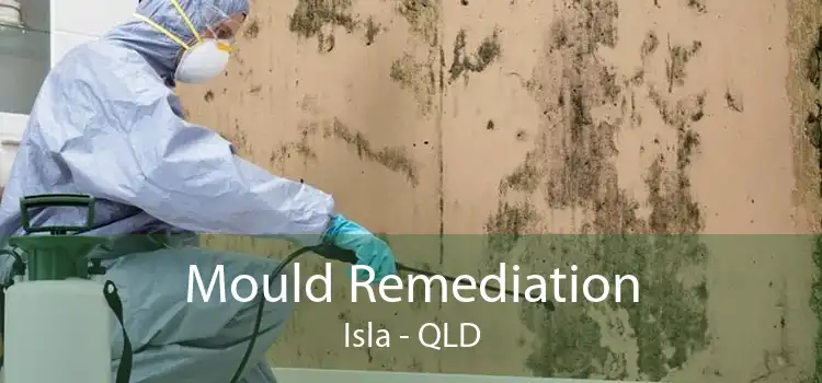 Mould Remediation Isla - QLD